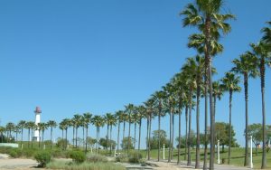 Long Beach City