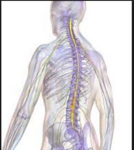 There is only one Los Angeles Spine Injury Lawyer to Hire