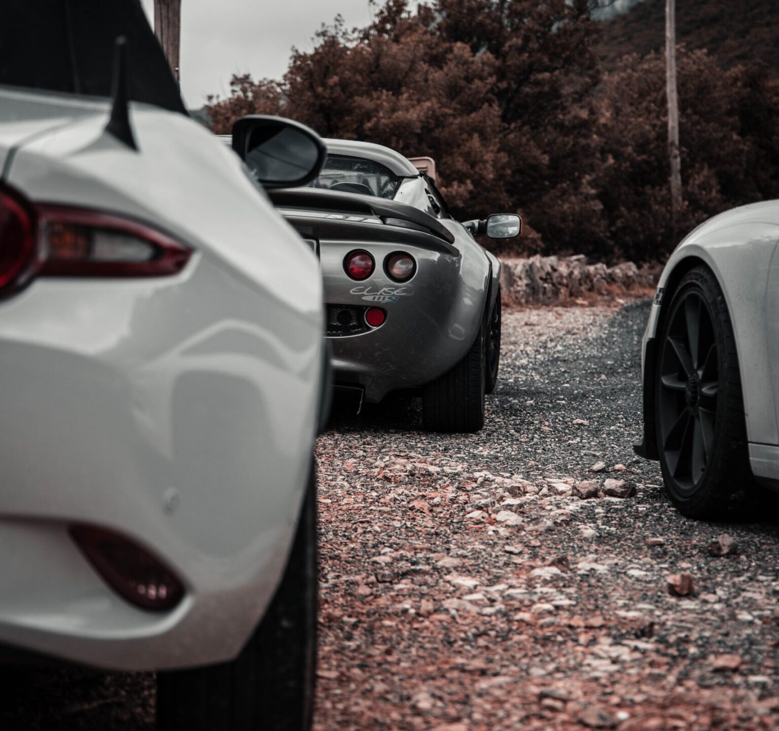 Francesca Bologna Killed in HeadOn Accident in Copperopolis