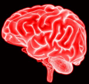 Los Angeles Brain Injury Lawyer