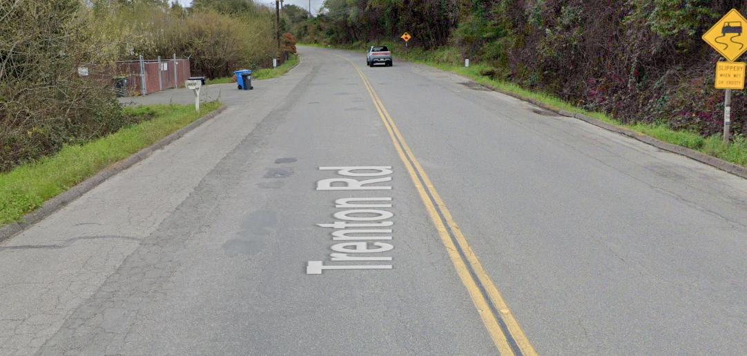 Santa Rosa Pedestrian Accident