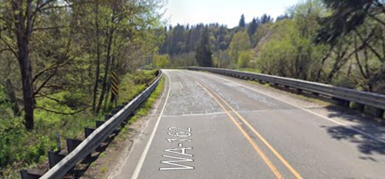 South Prairie Pedestrian Crash